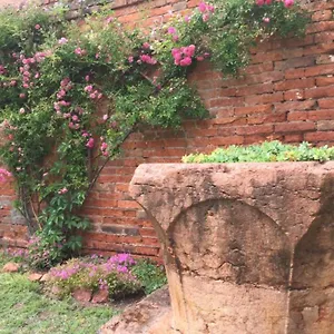Garden Houses Apartment
